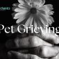 Pet Grieving