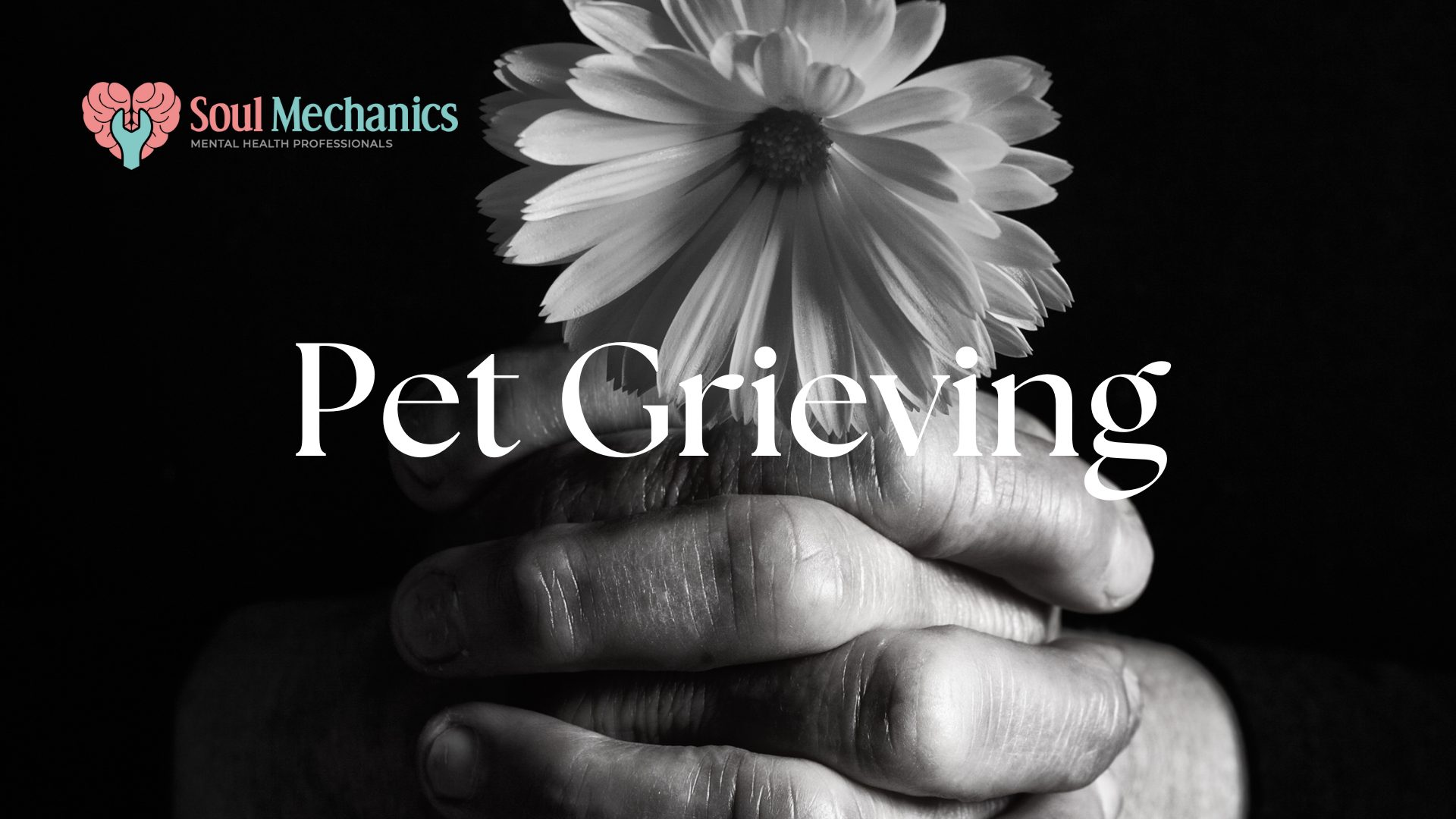 Pet Grieving